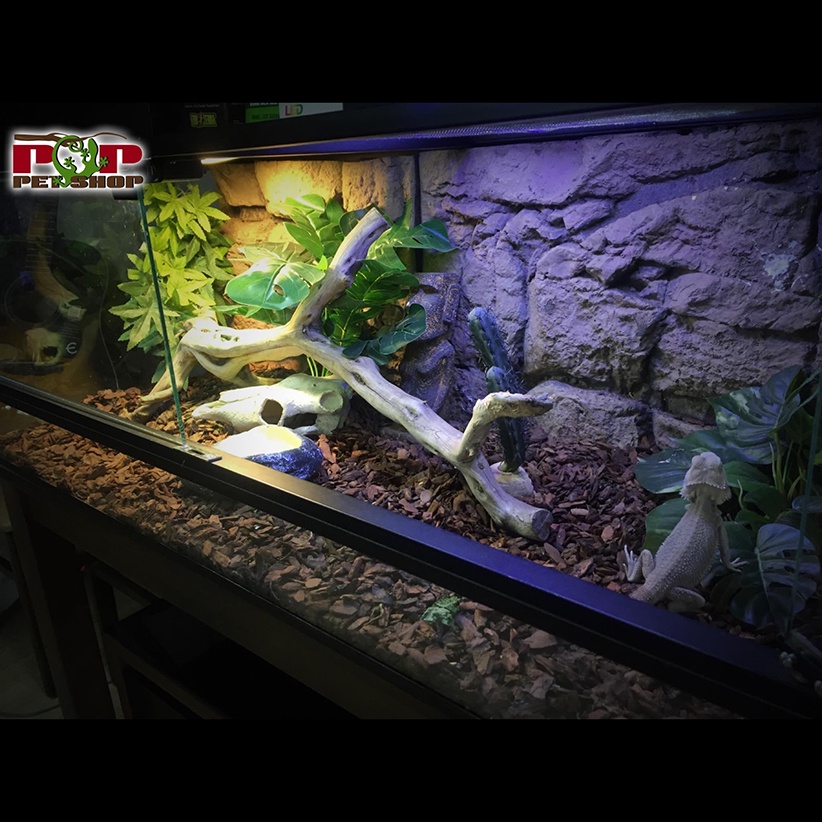 🦎 Lót Nền Vỏ Thông - Lót Chuồng Bò Sát - Lót Nền Rùa Cạn/ Rồng/ Trăn Rắn/ Kỳ Đà - Khử Mùi/Giữ Ẩm/Thẩm Mỹ/Decor/An Toàn