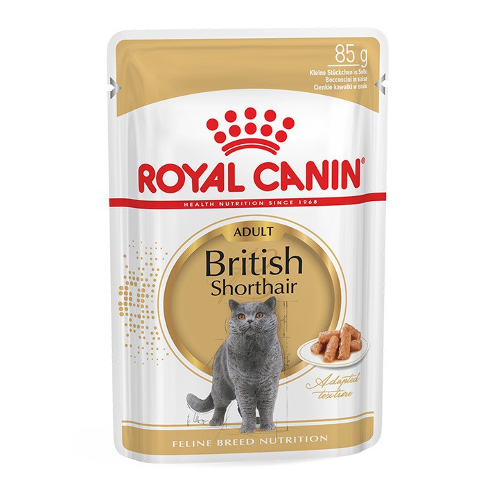 Thức ăn Pate cho mèo Anh lông ngắn Royal Canin British Shorthair 85g