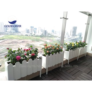 Chậu nhựa cao cấp picomat