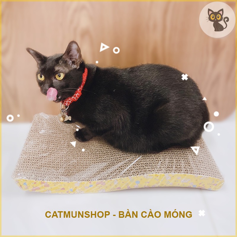 Bàn cào móng cho mèo (Kèm túi catnip)