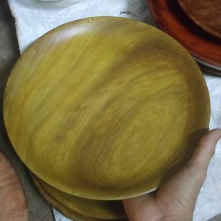Đĩa gỗ bách xanh