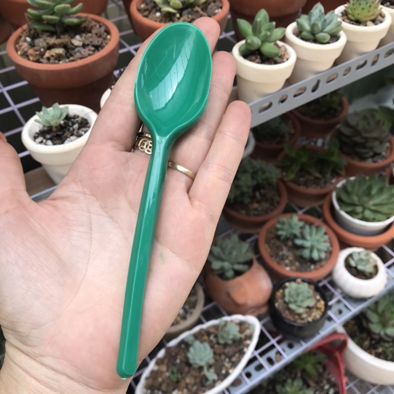 Muỗng nhựa nhiều màu dài 15cm dùng 1 lần