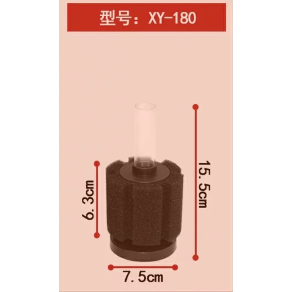 Lọc vi sinh xy180