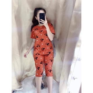Đồ bộ thun con mèo nhỏ mkey thời trang 3 size 45-62kg tùy chiều cao