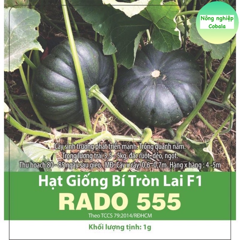 Hạt Giống Bí Đỏ Tròn Lai F1 Dễ Trồng, Thơm Ngon 1gr