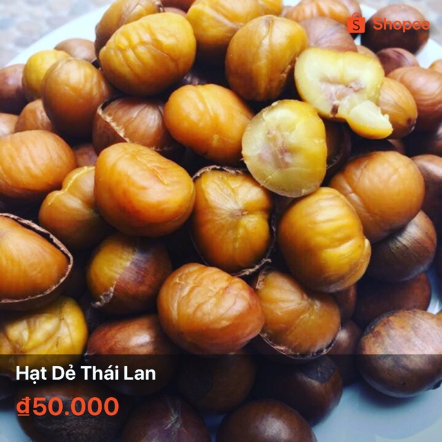 Thỏ Hạt Dẻ- Hạt Dẻ Thái Lan
