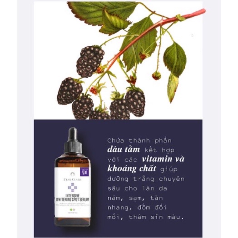 Serum Dưỡng Trắng Chuyên Sâu Loại Bỏ Thâm Nám Hàn Quốc Chính Hãng LEAU CLAIRE 100ml