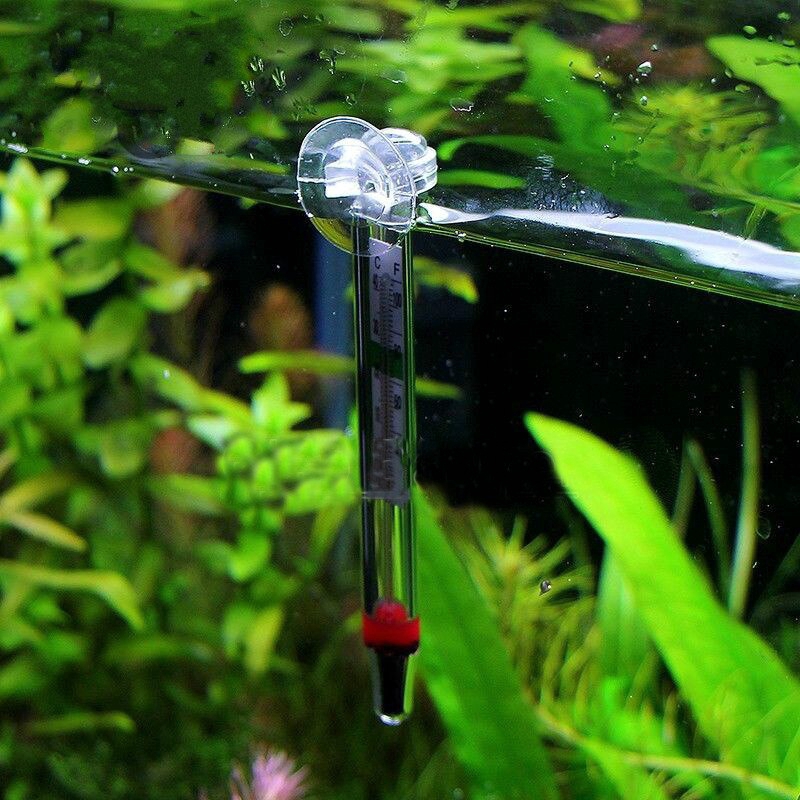 1 cái Mini Nhiệt kế hồ cá gia dụng Đồng hồ đo nhiệt độ nước dễ đọc Con số chính xác với cốc hút
