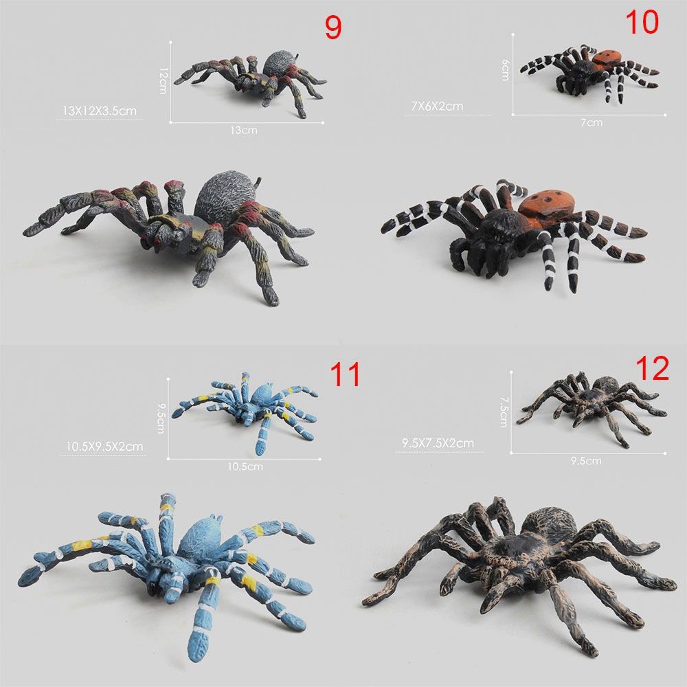 DAPHNE Funny Insect Animals Model Children Gift Growth Cycle Simulation Ladybug 14 Styles Home Decor Miniature Educational Toy Plastic Action Figures