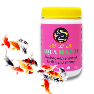 Men Tiêu Hóa Cho Cá Rông Aqua Max IV