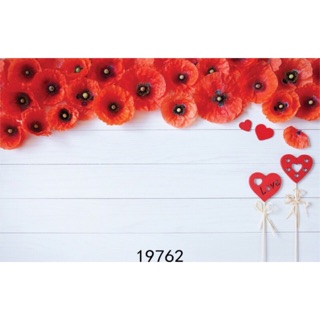Thảm chụp ảnh 3d 19762
