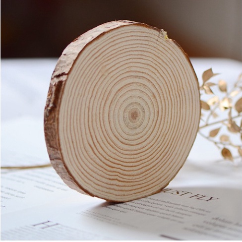 (SIZE 16-30CM) Lát gỗ tròn to cỡ lớn decor tiệc, làm phụ kiện chụp hình