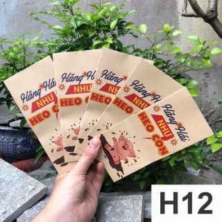 Bao li xi 2019