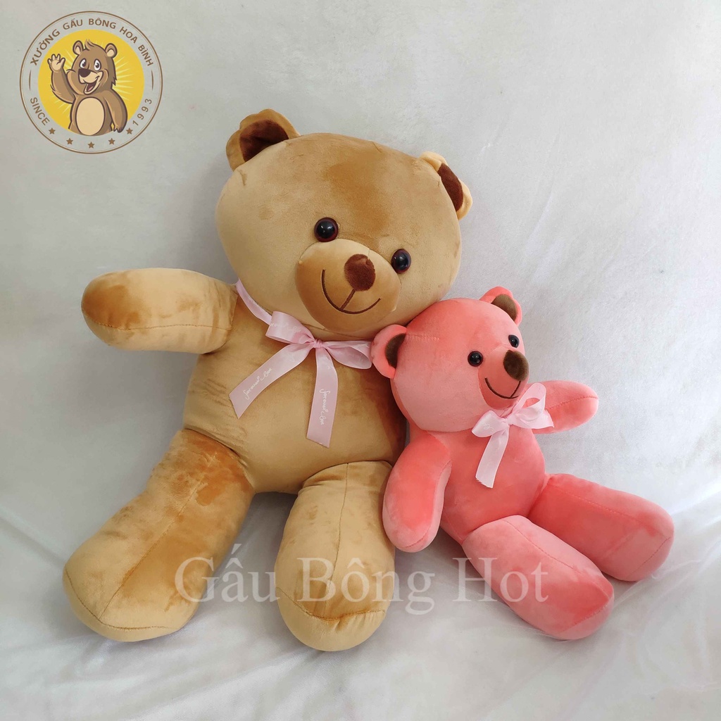 Thú Bông Gấu bông đeo nơ siêu dễ thương ❤️Xưởng Gấu Hoa Bình❤️