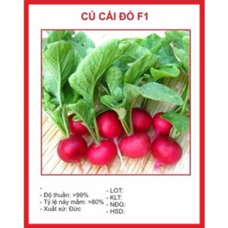 Hạt Giống Củ Cải Đỏ 5gram hạt giống bốn mùa