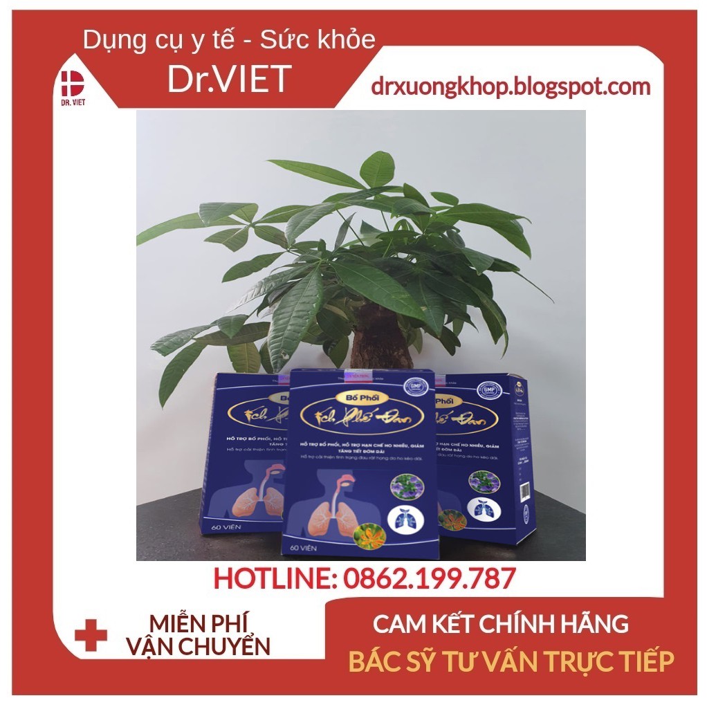 Bổ phổi ích phế đan -Hỗ trợ bổ phổi, viêm họng hạt, ho khan, ho đờm, viêm họng, viêm phế quản, đau rát họng, viêm amidan | BigBuy360 - bigbuy360.vn