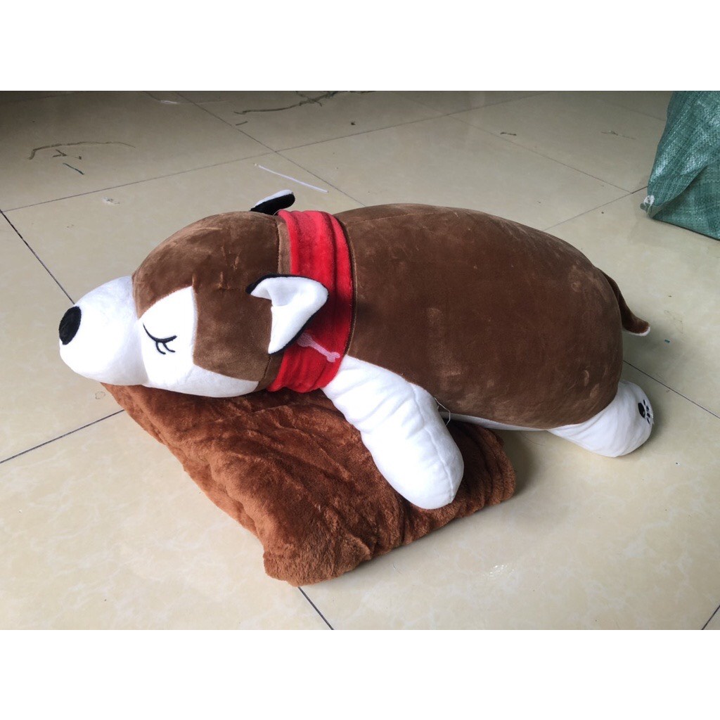 Bộ Chăn Gối Văn Phòng Hugky Đai Đỏ