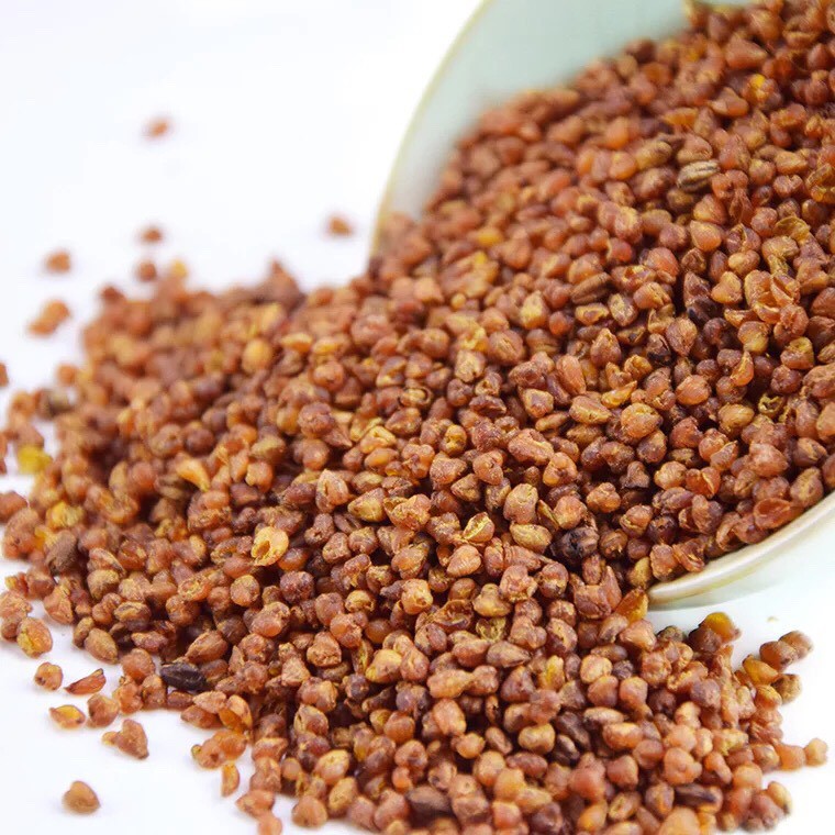 Trà kiều mạch nâu Tứ Xuyên lọ 500g