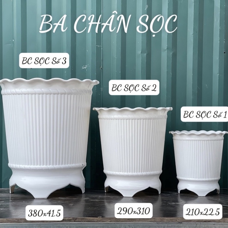 COMBO 3 Chậu nhựa trồng cây ba chân in hình hoa sen nổi giả sứ cao cấp SIZE NHỎ VS NHỎ