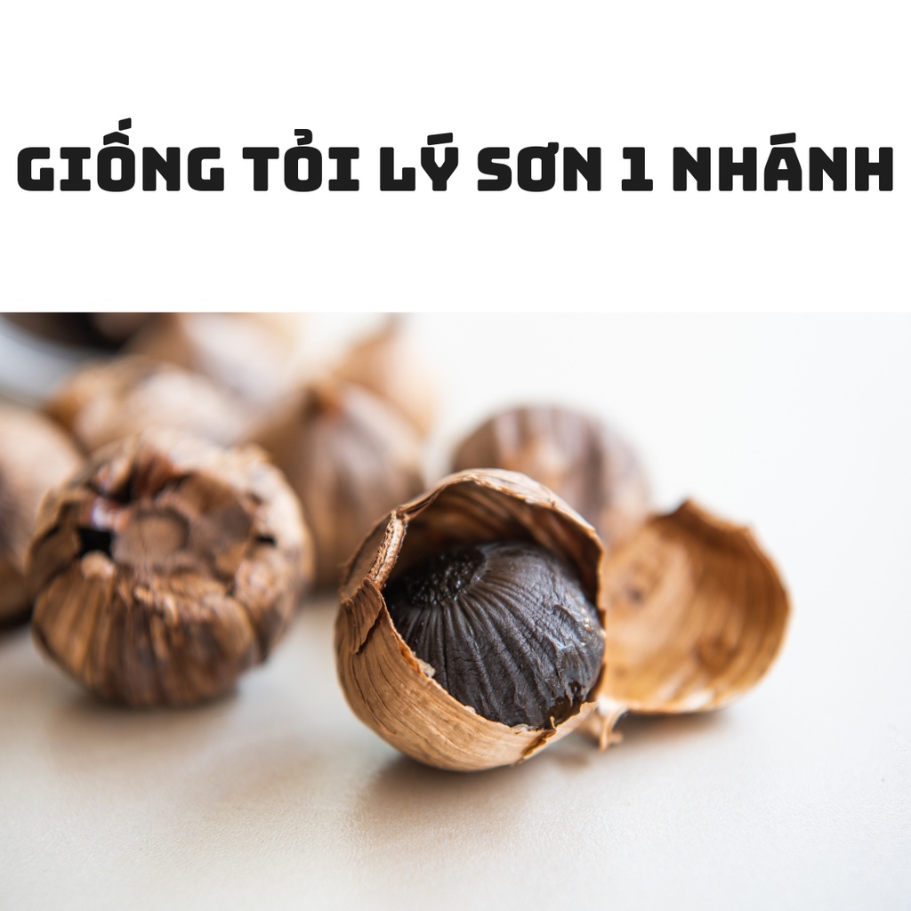 Tỏi đen cô đơn 1 nhánh Lý Sơn lên men tự nhiên Viện Hàn lâm KH&CN Việt Nam Vast_official, Hộp 250g