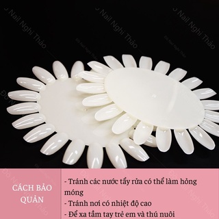 Móng mẫu tập vẽ vỉ tròn