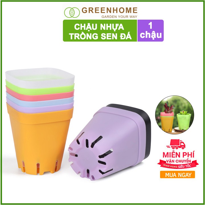 Chậu nhựa trồng sen đá, 7x7cm, bền, đẹp, màu sắc hiện đại, màu ngẫu nhiên, không dĩa |Greenhome