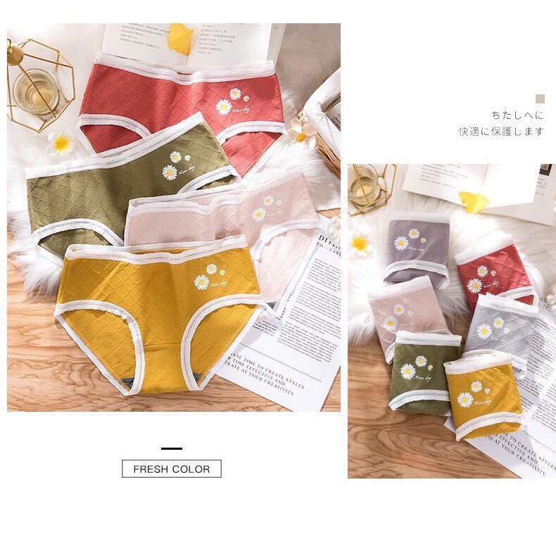 Quần Lót Nữ Cotton Hoa Cúc Kháng Khuẩn Viền Ren Sexy Thông Hơi Chất Lượng Cao