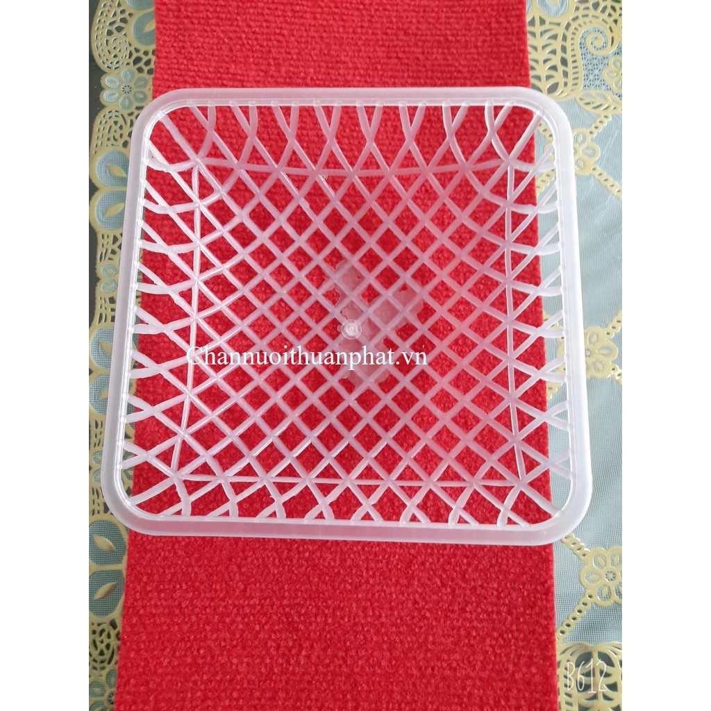 Combo 5 ổ đẻ cho chim bồ câu