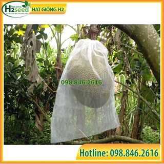 100 túi lưới bọc mít - túi bao mít kích thước 50x70cm - hạt giống h2 seeds