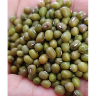 Đậu xanh hột loại 1