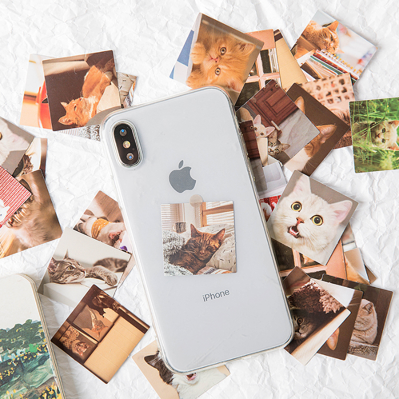 Set 46 sticker họa tiết mèo hoạt hình dễ thương dùng trang trí DIY