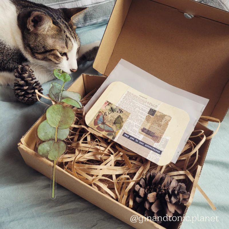 Hộp quà tặng vintage theo phong cách bullet journal nhiều kích cỡ - ginandtonic