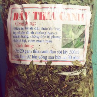 Dây Thìa Canh