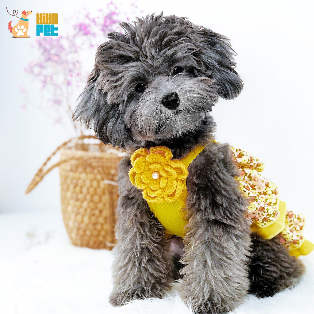 Váy Đầm Tầng Thời Trang Công Chúa Chó Mèo Thiết Kế Cao Cấp Mùa Hè Hihapet.