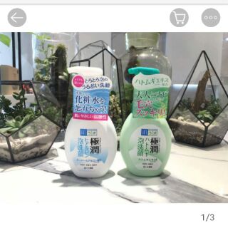 Sữa rửa mặt dạng bọt Hada Labo Gokujyun