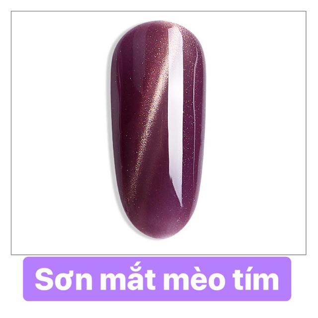 Sơn gel As mắt mèo tím ZM ( chai đen )