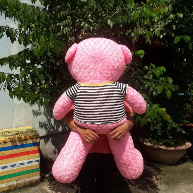 GẤU TEDDY SIÊU KHỦNG 1M2