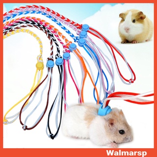 Dây dắt chuột Hamster/thỏ đi dạo chơi 1.4/2m