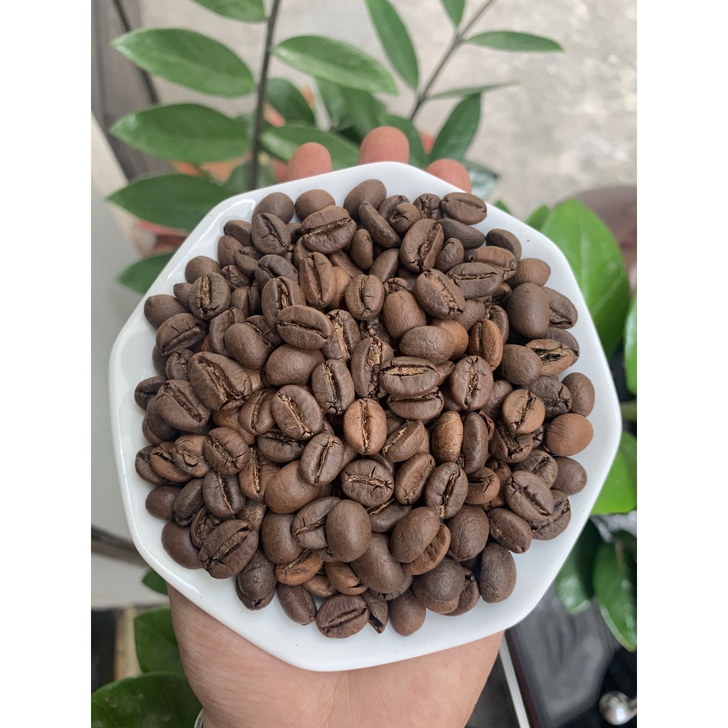 1KG Cafe Robusta size 18 hạt mộc pha máy, bột xay pha phin, hạt đều đẹp, nước cốt đậm, chuẩn vị, cà phê nguyên chất.