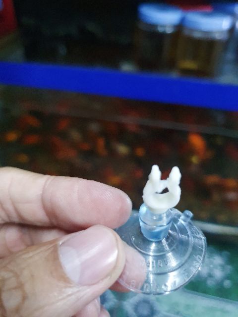 NÚM HÍT ỐNG DÂY OXY HỒ CÁ
