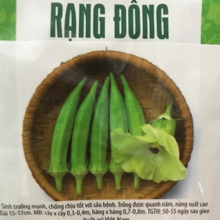 Hạt giống đậu bắp 60 (20gr)