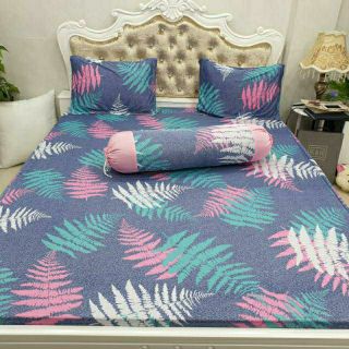 Bộ Drap Thun Hàn Quốc