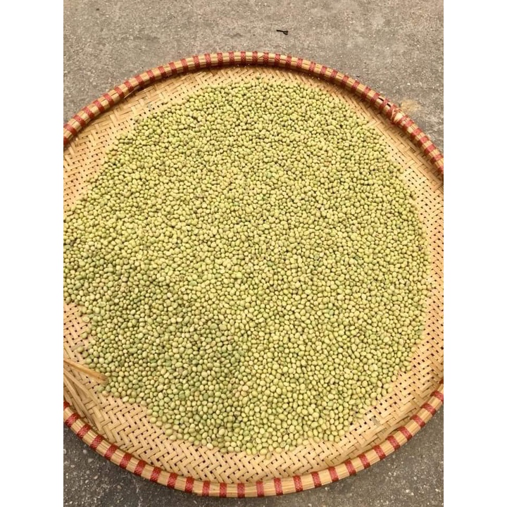 1kg hạt giống mầm đậu nành