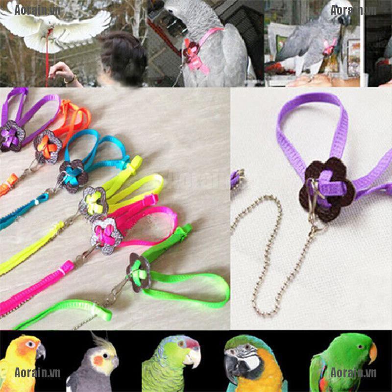Chì Chống Cắn Siêu Tiện Lợi Chất Lượng