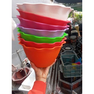 Chậu nhựa ốp tường nhiều màu
