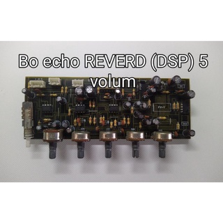 Bo echo reverb bản 5 volume
