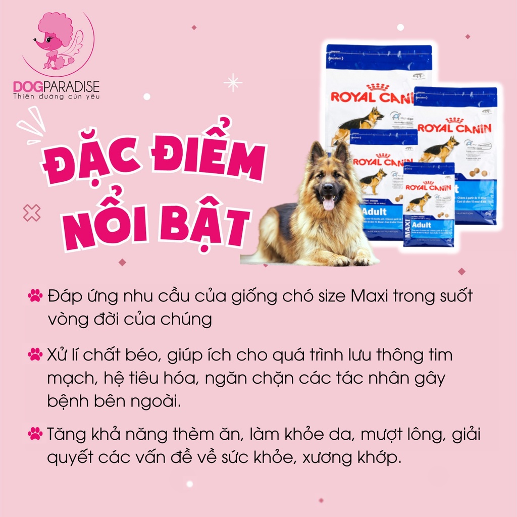 Thức ăn cho chó kích cỡ lớn Royal Canin Maxi Adult cung cấp năng lượng 1kg và 4kg - Dog Paradise