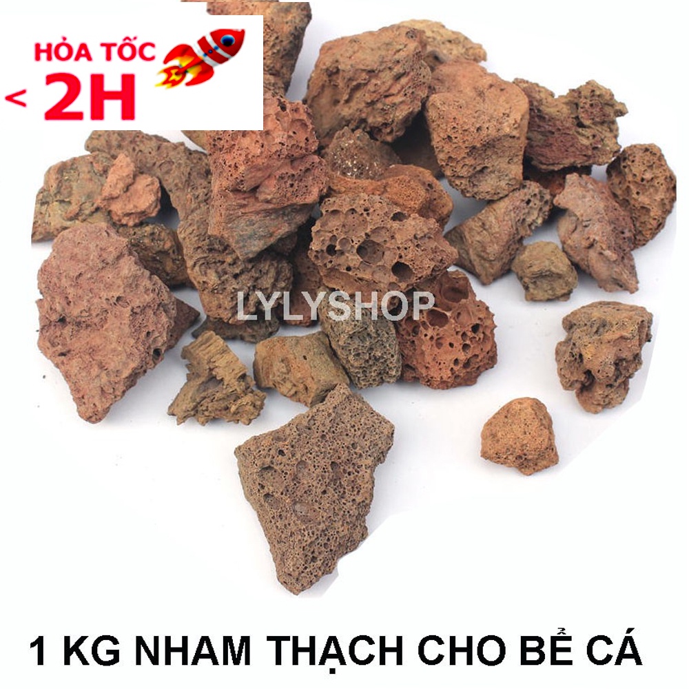 Đá Nham Thạch 1kg - Vật Liệu Lọc Nước, Nuôi Vi Sinh & Trang Trí Bể Cá