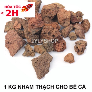 ĐÁ NHAM THẠCH (1kg) vật liệu lọc, trang trí bể cá