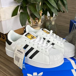 (ảnh thật) giày superstar mũi sò nam nữ